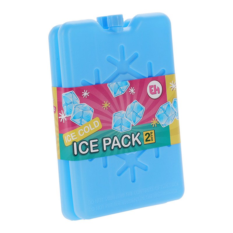 Accumulateurs de froid x2 16x10 cm